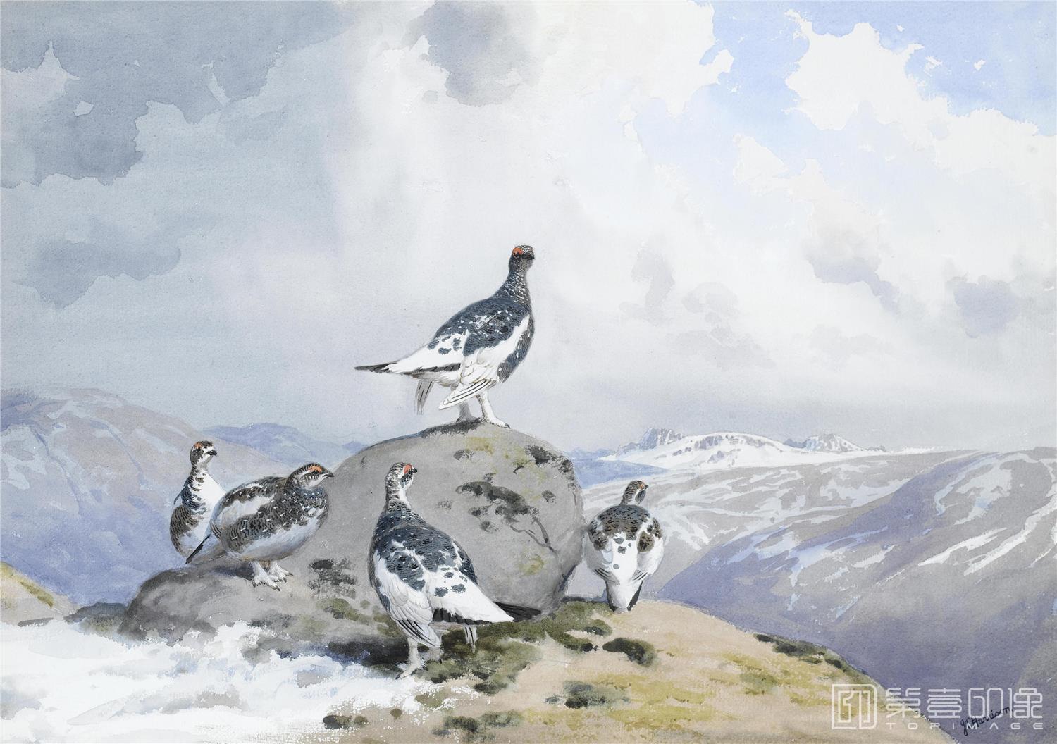 油画-约翰.赛里尔·哈里森 John Harrison作品集-136